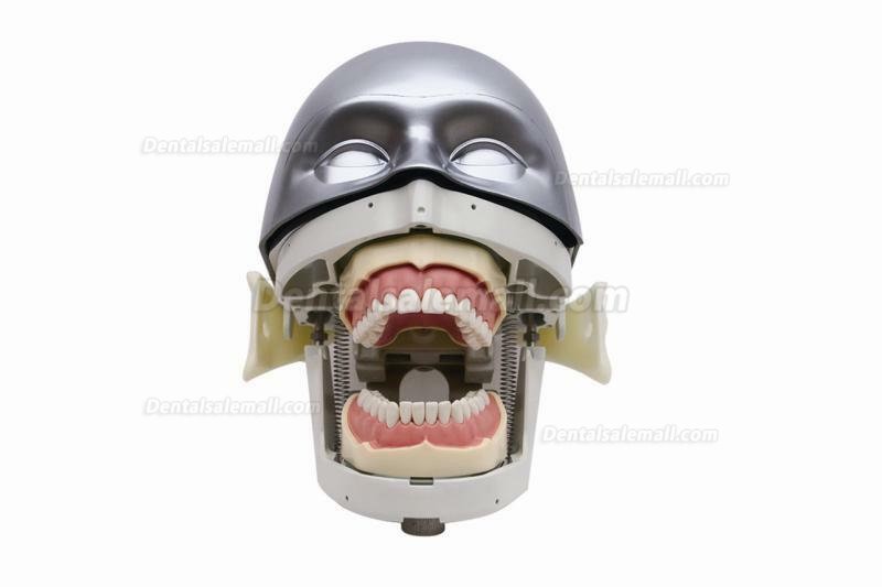 Jingle JG-C4 Dental Manikin head Phantom Head for Dental Patient Simulator Typodont Compatible with Nissin Kilgore/ Frasaco